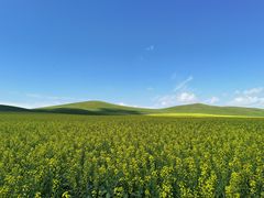 -呼伦贝尔大草原