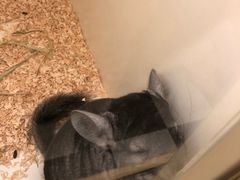 -龙猫仔乐园(惠福东路店)