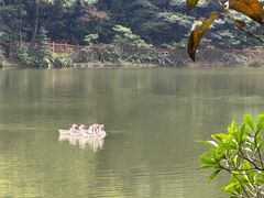-广州市石门国家森林公园