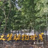 好像80一小时里面还有一个保育园，有刚出生的小狮子