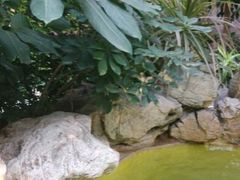 android_upload_pic-金隅凤山酒店