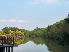 -大湾区中央湿地公园