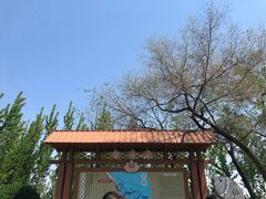 -白洋淀景区