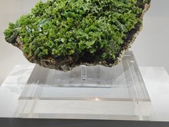 -中国地质大学逸夫博物馆