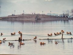 -中国湿地博物馆