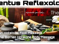 -ventus spa 沙巴亚庇正宗精油按摩会所