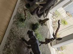 -中国第四纪冰川遗迹陈列馆