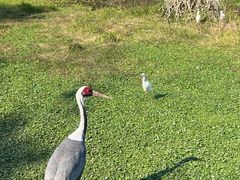-普洱太阳河森林公园