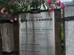 -铁山坪森林公园