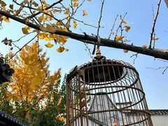 -惠山古镇·寄畅园