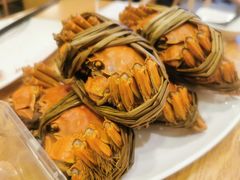 -红旗羊肉(上南店)