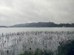 -湖畔居茶楼(湖滨店)