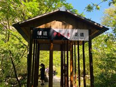 -青峰峡国家森林公园