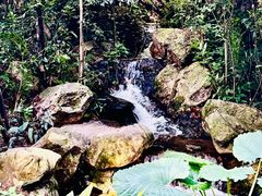 -广州兰圃