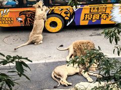 -大连森林动物园