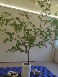 -TIME SPA科技美肤机构