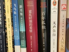 -波哥大埃尔多拉国际机场