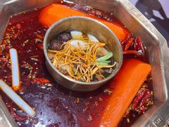 -蜀九香火锅(玉林店)