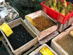 -鸿达渔港
