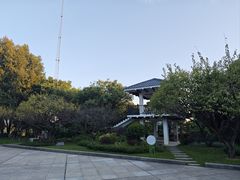 -玉树公园