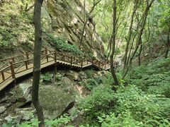 -大岭沟猕猴桃谷风景区