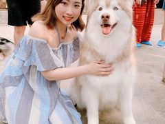 -TrueLove @ Neverland (Husky Cafe)