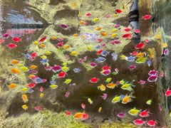 -苏州海洋馆