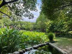 -陈家山荷花公园