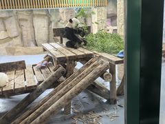 -无锡动物园·太湖欢乐园