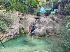 -南海湾森林生态园