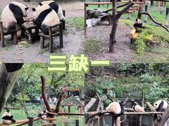 -秦云老太婆摊摊面(全国总店)