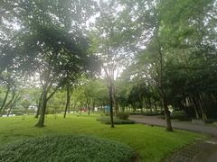 -火炉山森林公园