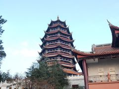 -铁山坪森林公园