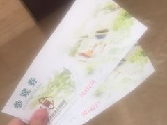 -盘龙城国家考古遗址公园