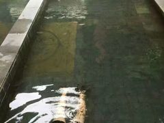 -嘉和K6温泉微度假