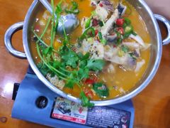 -全乐鱼馆·淳牌有机鱼直营店