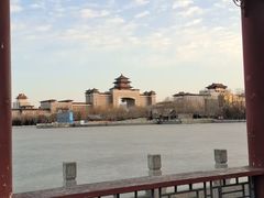 -莲花池公园
