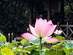 -茅家埠