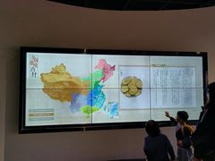 -广东中医药博物馆