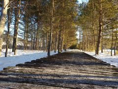 -北极村旅游风景区