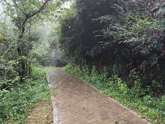 -青龙山国家森林公园