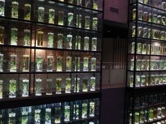 -广东中医药博物馆