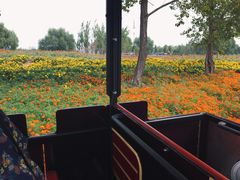 -渔岛海洋度假区