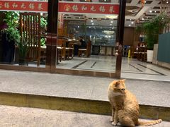 -锡和无锡菜(景丽苑店)