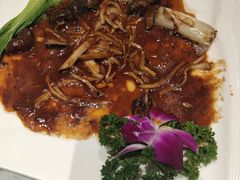 -乡村小镇(新合店)