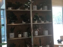 -Blueglass酸奶(财富购物中心店)