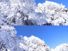 -尧山风景区