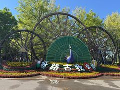 -呀路古热带植物园