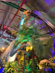 -恐龙探索乐园(磁器口店)