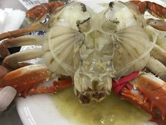 -王潮活海鲜自助·蒸汽海鲜